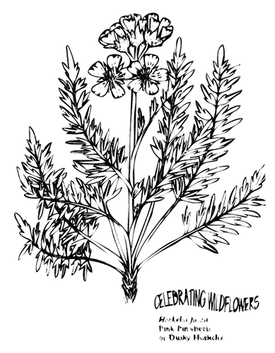 Вертушка цветок векторное изображение